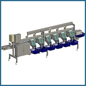 3D VISION oyster grading machine